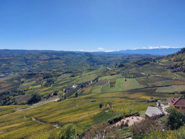 andrea-scanzani-buyctyzmb3w-unsplash monforte d'alba, langhe