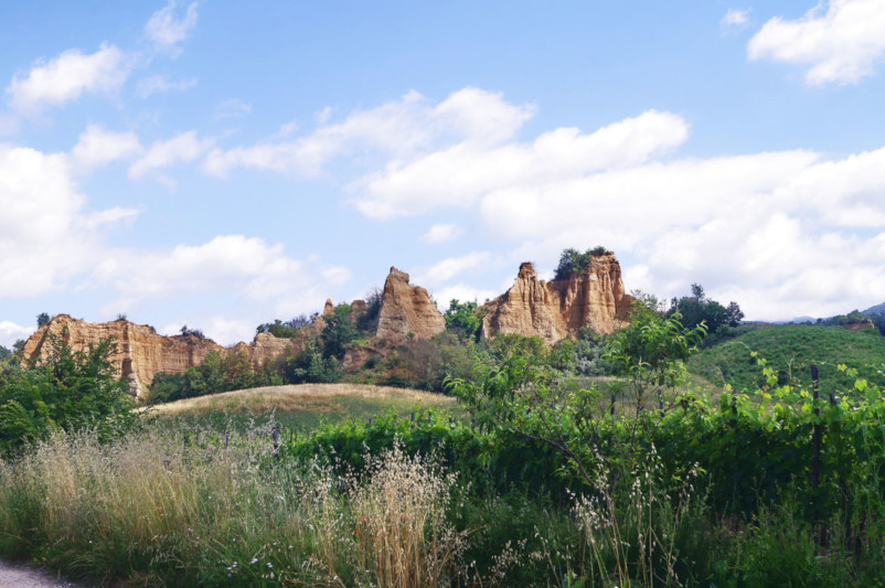 Area Naturale Le Balze in Valdarno