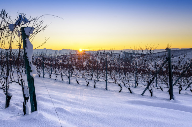 I vigneti del Barolo sotto la Neve nel Roero